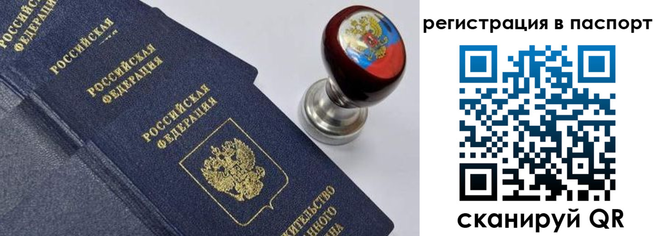 прописка поиск в Владимирской области